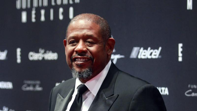 Weihnachten endet für Forest Whitaker mit einem Scheidungsantrag. Weihnachten endet für Forest Whitaker mit einem Scheidungsantrag.