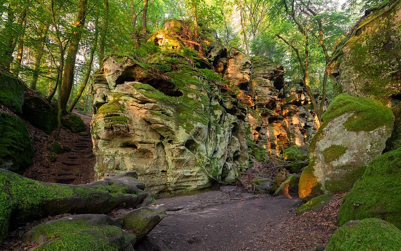 Die Landschaft der Eifel erinnert daran, dass es in Deutschland einst aktive Vulkane gab. Die Maare, bizarren Felsformationen und dichten Wälder lassen sich auf Wanderwegen gut zu Fuß erkunden. Nach Sonnenuntergang zeigt der Blick nach oben eine weitere Attraktion der Region: Einen beeindruckend klaren Sternenhimmel, den man auf geführten Sternenwanderungen erleben kann. Die Landschaft der Eifel erinnert daran, dass es in Deutschland einst aktive Vulkane gab. Die Maare, bizarren Felsformationen und dichten Wälder lassen sich auf Wanderwegen gut zu Fuß erkunden. Nach Sonnenuntergang zeigt der Blick nach oben eine weitere Attraktion der Region: Einen beeindruckend klaren Sternenhimmel, den man auf geführten Sternenwanderungen erleben kann.