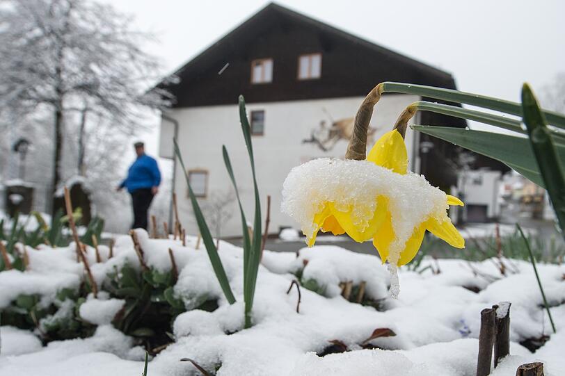Schnee im Frühjahr:Im Allgäu ist damit vertraut.