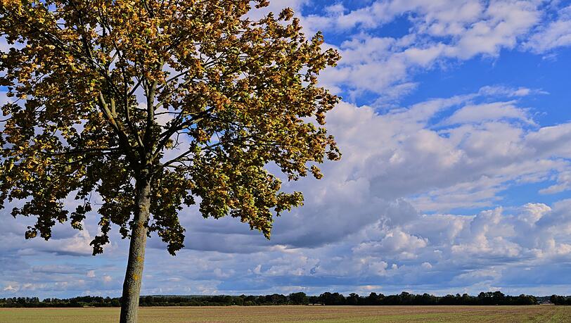 Vielen Menschen in Deutschland stehen sonnige Herbsttage bevor.