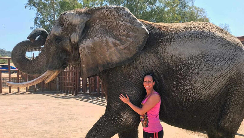 Jana Mandana Lacey-Krone steht in der Residenz "El Castillo de la Guardas" neben der afrikanischen Elefantenkuh Kenia, die auch weiterhin mit zwei anderen in Spanien bleiben wird. Jana Mandana Lacey-Krone steht in der Residenz "El Castillo de la Guardas" neben der afrikanischen Elefantenkuh Kenia, die auch weiterhin mit zwei anderen in Spanien bleiben wird.