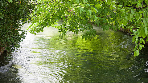Aus Isarwasser gespeist: Der Auer Mühlbach ist ein etwa sieben Kilometer langer Münchner Stadtbach.
