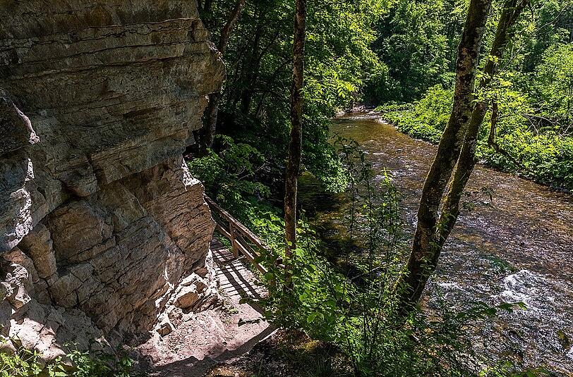 Urwaldfeeling in der Wutachschlucht.
