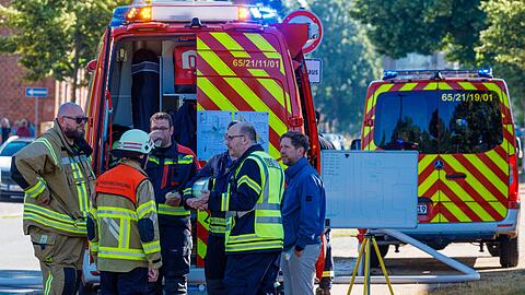 In der Spitze bek&auml;mpften etwa 90 Feuerwehrkr&auml;fte die Flammen.