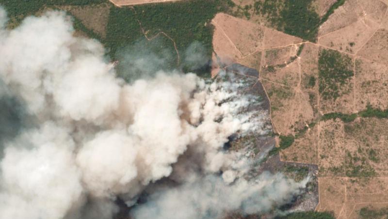 Das Satellitenbild zeigt die Brände in den betroffenen Regionen in dem brasilianischen Bundesstaat Pará. Das Satellitenbild zeigt die Brände in den betroffenen Regionen in dem brasilianischen Bundesstaat Pará.