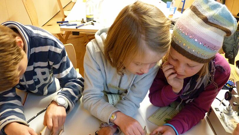 In der Energiewerkstatt machen die Kinder Experimente. In der Energiewerkstatt machen die Kinder Experimente.
