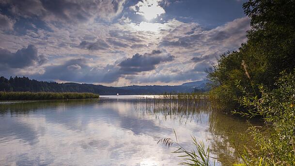 Idylle am Niedersonthofener See. Idylle am Niedersonthofener See.