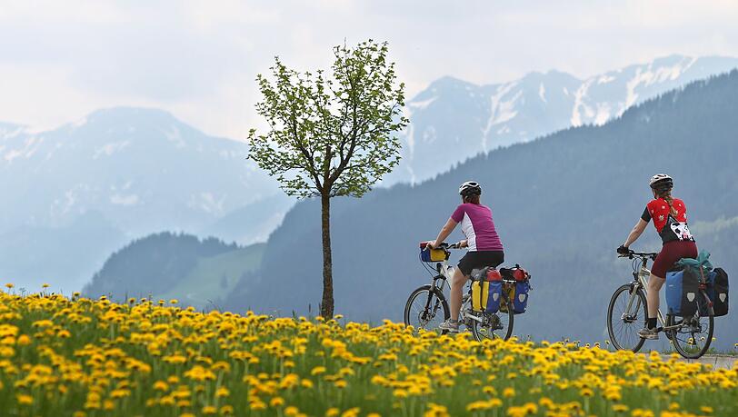 Die Art der Fahrradunfälle in den Bergen hat sich mit dem E-Bike verändert. (Symbolbild)
