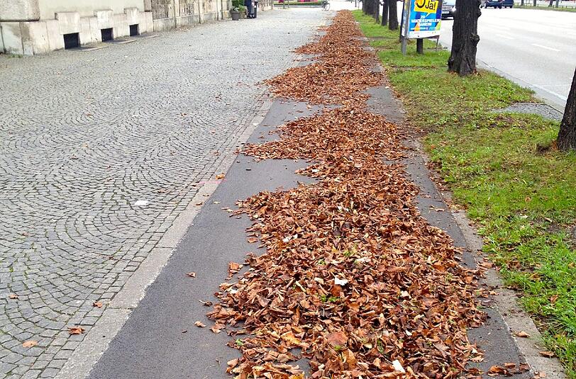 Die Rache der Recher: Was ist der perfekte Ort für Herbstlaub? Der Radweg natürlich - wie hier auf beiden Seiten der Prinzregentenstraße.