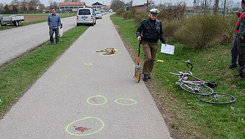 Die Spuren vom Unfall - das tote Reh liegt noch auf dem Fahrradweg Die Spuren vom Unfall - das tote Reh liegt noch auf dem Fahrradweg
