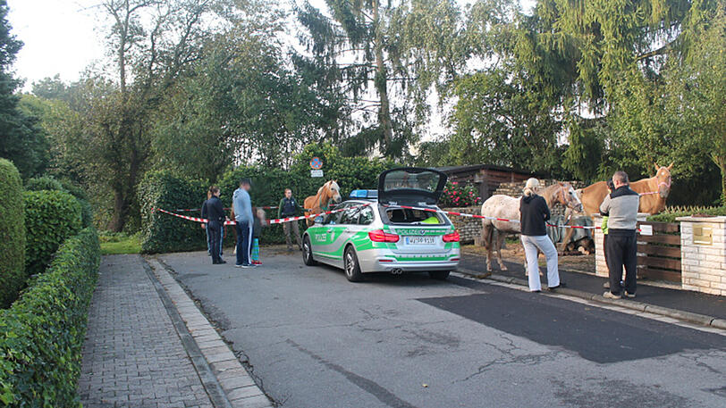 Mit Streifenwagen und Absperrband wurde eine Behelfskoppel gebildet.