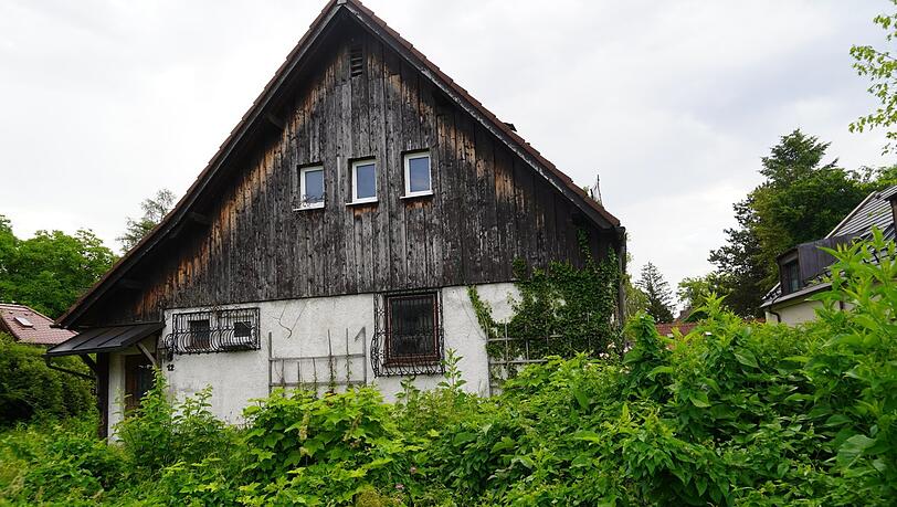 Hier wohnt niemand mehr und die Natur wuchert: die Hormayrstraße 12.
