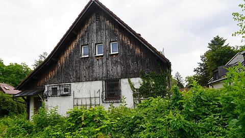 Hier wohnt niemand mehr und die Natur wuchert: die Hormayrstraße 12.