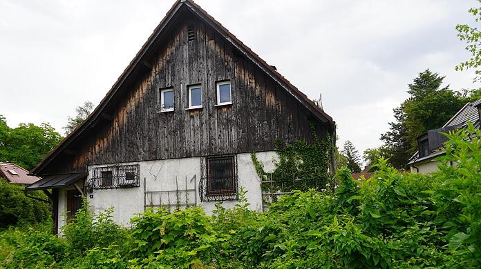 Hier wohnt niemand mehr und die Natur wuchert: die Hormayrstraße 12.