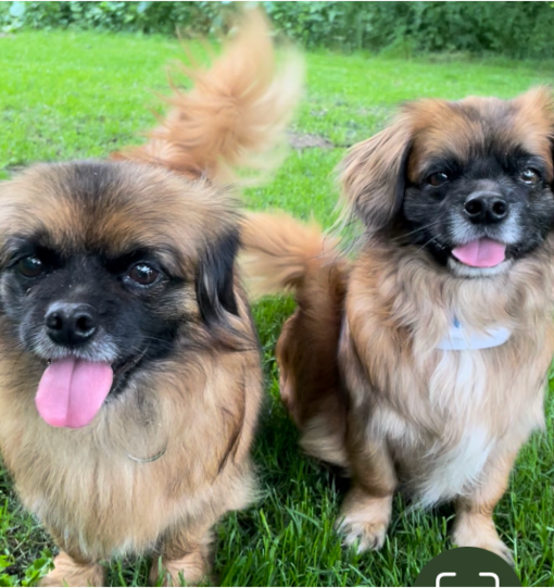 Leo und Sami
