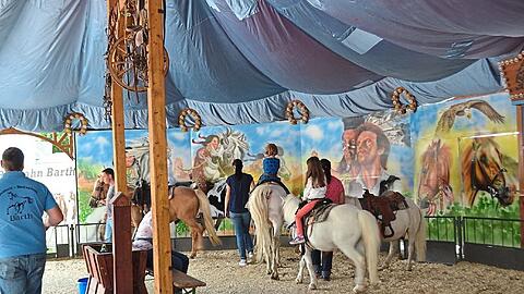 Droht den Ponys bei einem Verbot auf Festen der Schlachter? (Symbolbild)
