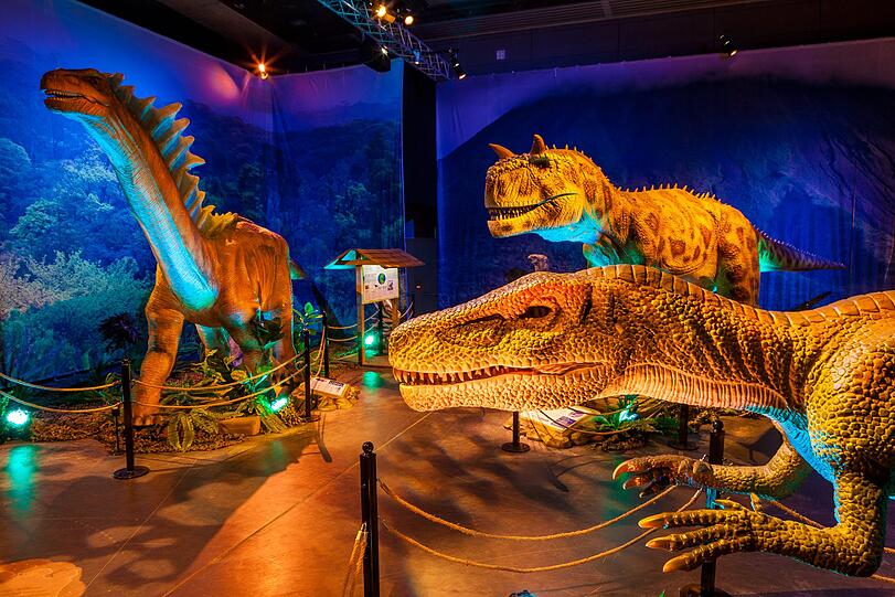 Ob die Absperrungsseile die Fleischfresser abhalten, sich auf uns zu stürzen? Ein Blick in die &bdquo;Dino World&ldquo; in der Kleinen Olympiahalle.