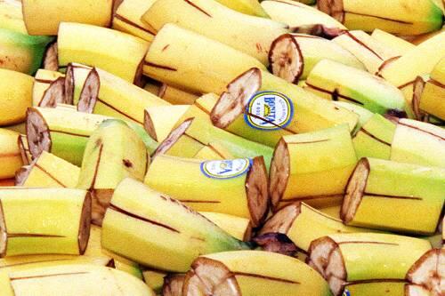 Deutschland, eine Bananenrepublik? Die Beobachtung ist Routine, sagt die OSZE.
