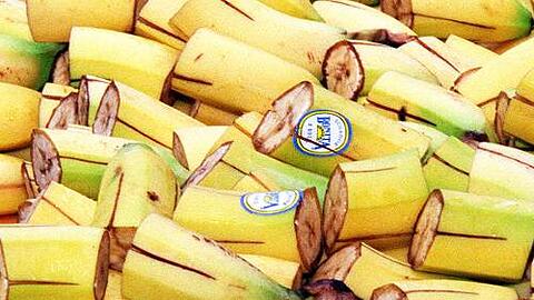 Deutschland, eine Bananenrepublik? Die Beobachtung ist Routine, sagt die OSZE.