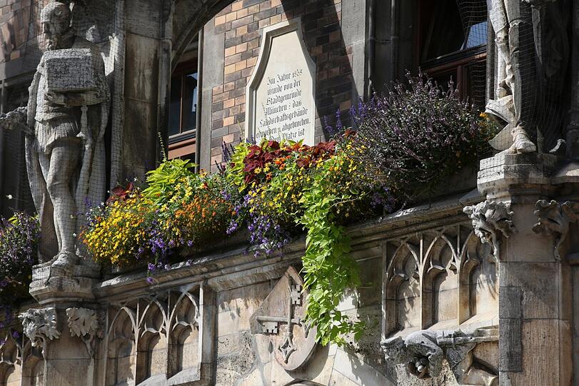 Am Rathaus sind seit diesem Jahr Wildblumen am Balkon.