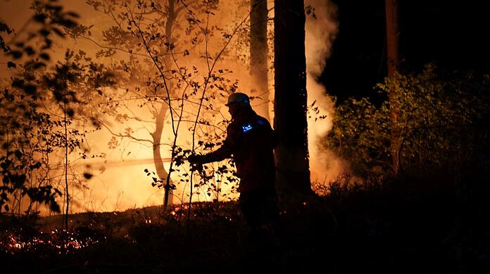 Ein Feuerwehrmann löscht einen Waldbrand.