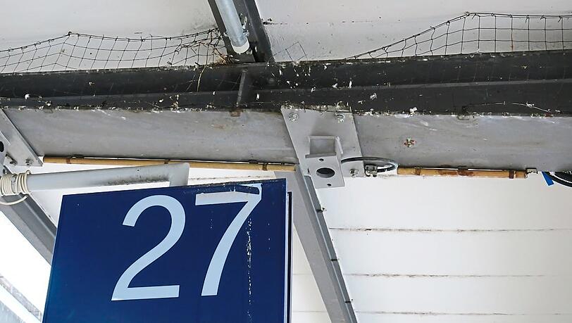 Die Vergrämungsnetze sind an einigen Stellen beschädigt.