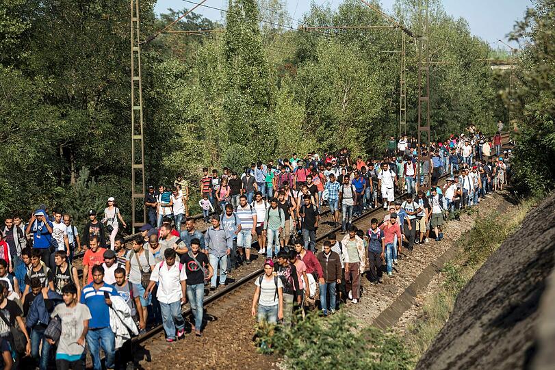 Rund 3000 Flüchtlinge sind an der Grenzstation in Österreich angekommen. Die Bilder von dem ungarischen Flüchtlingsstrom.