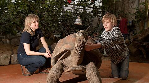 Eine Riesenschildkröte als Patenkind ist schon etwas Besonderes. Auch wenn der Blick des Reptils eher vermuten lässt, dass es sich selbst für den &bdquo;Padrino&ldquo; hält.