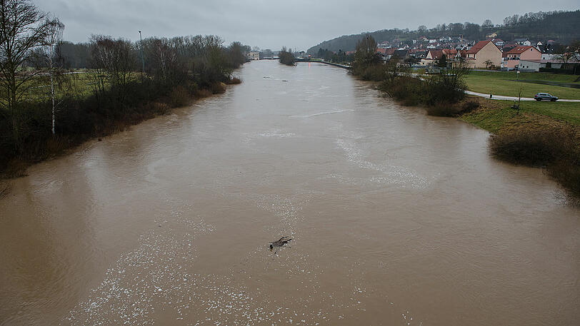 Wie hier bei Viereth-Trunstadt führt der Main aktuell viel Wasser.