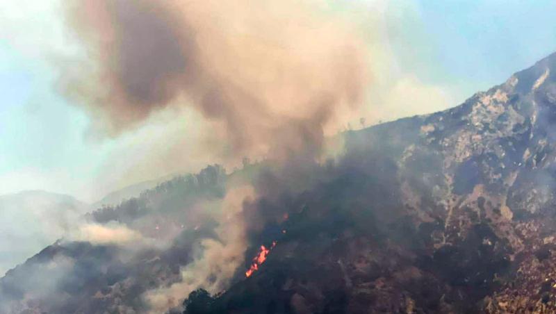 Feuer im Nationalpark Aspromonte in Kalabrien.