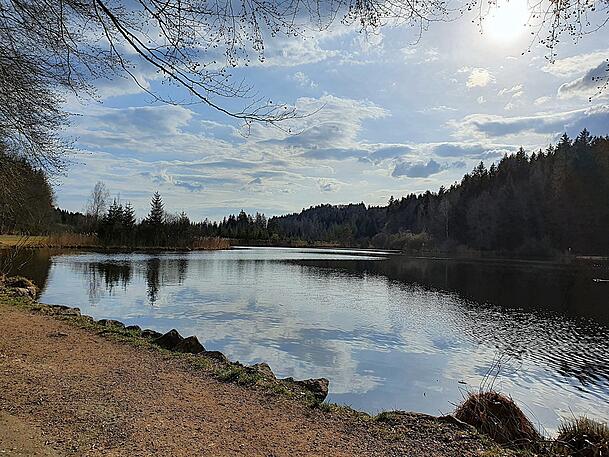 Auch im Winter ist der idyllische Deininger Weiher samt angrenzendem Moos ein beliebtes Ziel für ausgedehnte Spaziergänge.