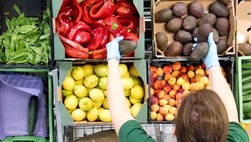 Hunderte solcher Kisten mit Bio-Produkten verschickt der Bio-Lieferant "Gemüsekiste" regelmäßig an seine Kunden in der Region Hannover und Umgebung. Hunderte solcher Kisten mit Bio-Produkten verschickt der Bio-Lieferant "Gemüsekiste" regelmäßig an seine Kunden in der Region Hannover und Umgebung.