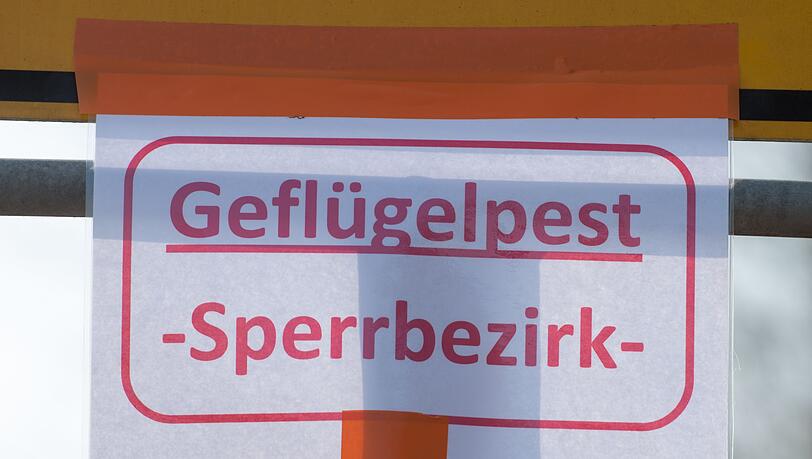 Nach dem Ausbruch in einem Betrieb in Feuchtwangen wurden rund 30.000 Tiere getötet. (Symbolbild)