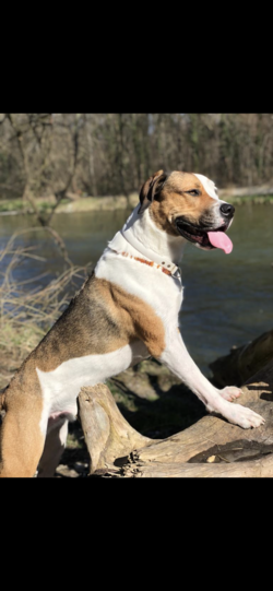 Marley