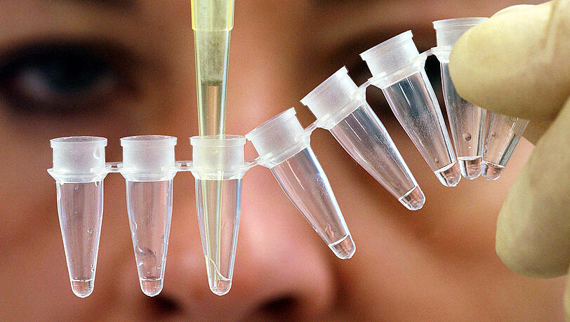 Eine Gentechnik-Expertin untersucht DNA-Spuren. Eine Gentechnik-Expertin untersucht DNA-Spuren.
