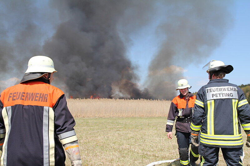 Mit einer Löschkette kämpften ein Feuerwehrmänner gegen die Feuerwalze, die sich durch das Schilf fraß.