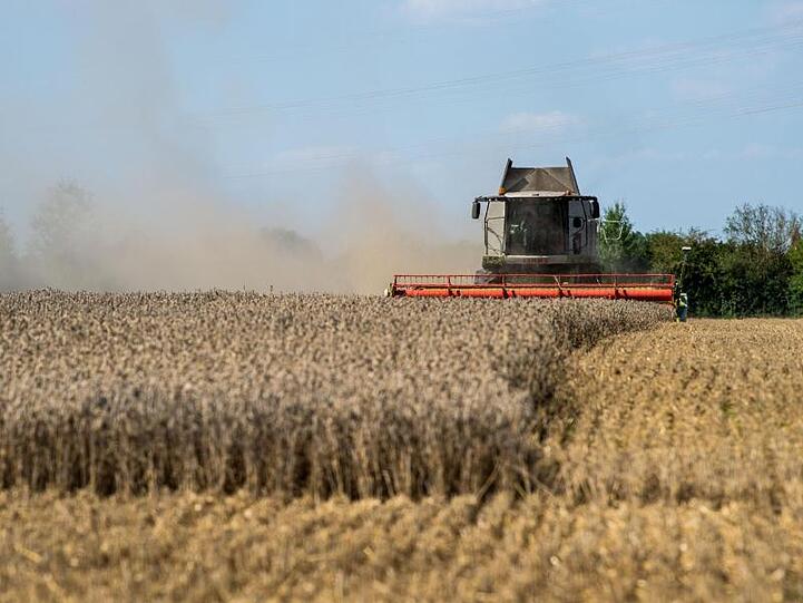 Ein Mähdrescher erntet auf einem Feld in Bayern Weizen.