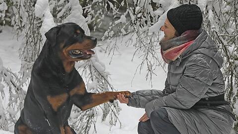 Sandra Schuhmacher und ihr Hund Elvito wohnen in Kirchheim bei München. Als Anwältin vertritt sie unter anderem das Tierheim und den Tierschutzverein.