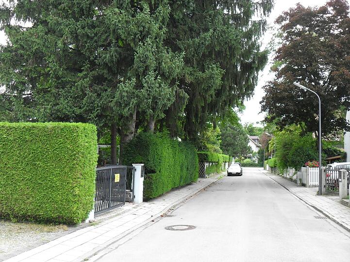 Hecke gestutzt, Äste beschnitten - und trotzdem setzte es ein Bußgeld.