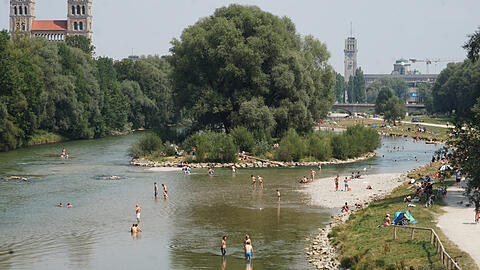 Die Weideninsel ist eine kleine Oase mitten in der Stadt