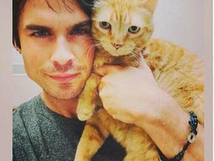 Ian Somerhalder mit seiner Katze
