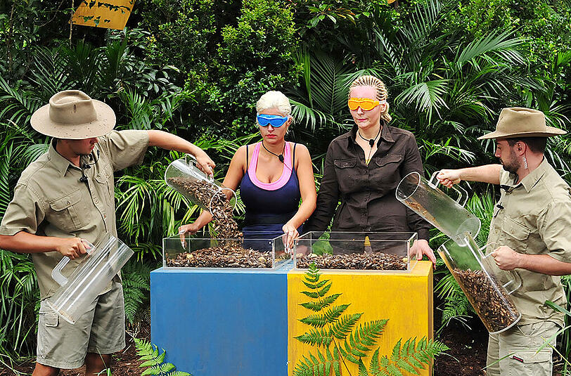 Die Bilder vom zweiten Dschungelprüfungs-Duell zwischen Sophia Wollersheim und Helena Fürst. Am Ende konnte sich Sophia mit einem Stern Vorsprung durchsetzen. Für die Bewohner des Camps "Snake Rock" gibt es also nur Reis und Bohnen.