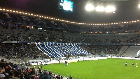 Die überwältigende Mehrheit der Löwen-Fans hat mit Rechtsradikalismus nichts zu tun.