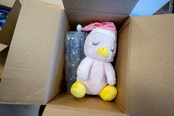 Ein durch den Zoll untersuchtes Pl&uuml;schtier aus China liegt am DHL Hub in einem Karton. Die auf Online-Plattformen wie Temu oder Shein verkauften Produkte entsprechen oft nicht den deutschen Normen.