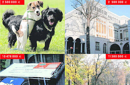 Was die Münchner im nächsten Jahr bezahlen (v. li. oben nach re. unten): Für Hundesteuer, Eintrittsgelder in der Villa Stuck, Strafzettel oder Grabgebühren.