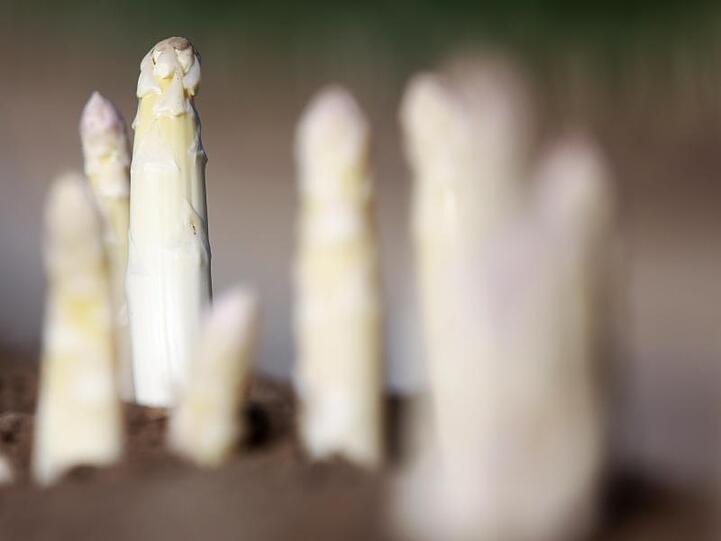 Spargel schaut aus dem Erdwall heraus. Foto: Roland Weihrauch/dpa/Symbolbild