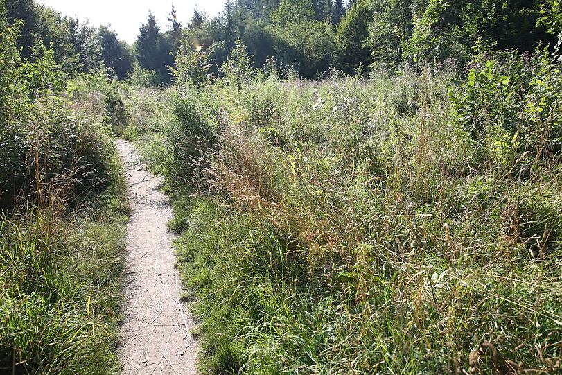 Rund 150 Einsatzkräfte durchsuchten am Freitagvormittag den Truderinger Wald bei Waldperlach.