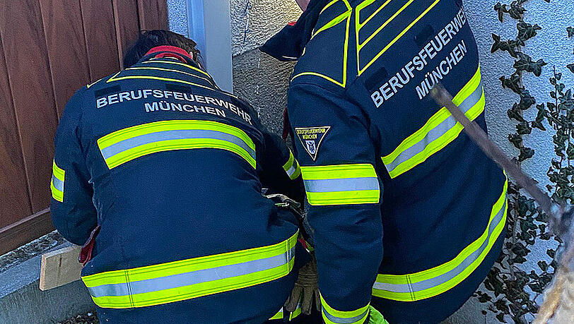 Die Feuerwehr hatte sichtlich Mühe, um die Katze aus dem engen Spalt zu befreien. Die Feuerwehr hatte sichtlich Mühe, um die Katze aus dem engen Spalt zu befreien.