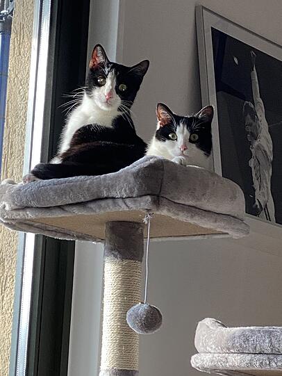 Porthos & Sky