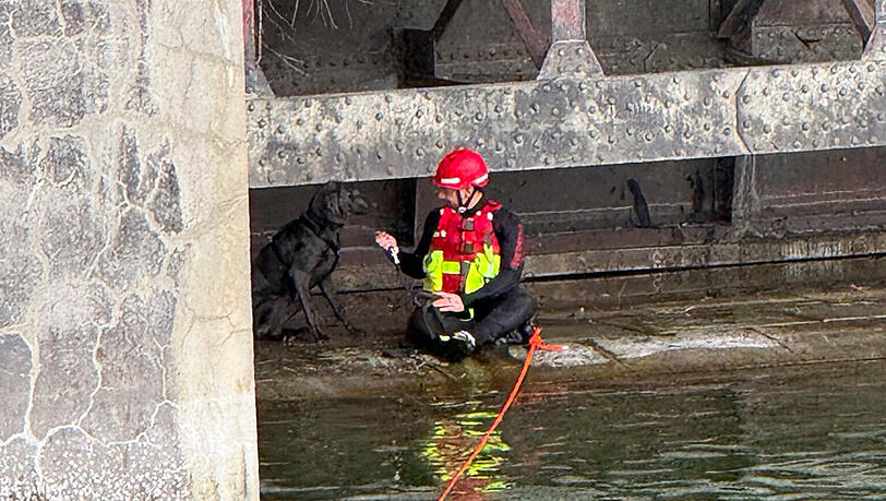 Der Feuerwehrtaucher hat den Hund auf dem Vorsprung erreicht: Mensch und Hund "beschnuppern" sich vorsichtig.
